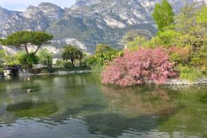 Riva del Garda Apartments, Riva del Garda