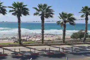 שנהב Mini-hotel, Bat Yam