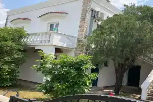 Studios Annie, Biela