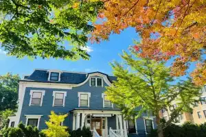 Ginkgo House on Harvard, Boston