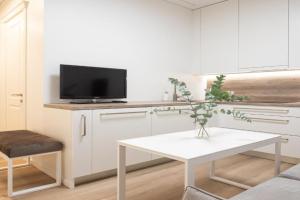 Cathedral apartment, perfect for couples, Vilnius