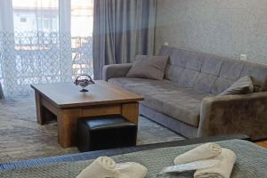 Borjomi Likani Apartment, Borjomi