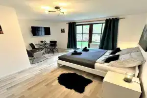 COZY Apartment in Bavarian Forest +POOL +SAUNA +NETFLIX, Zwiesel