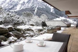 Apartment Chalet Abendrot apARTments-28 by Interhome, Grindelwald
