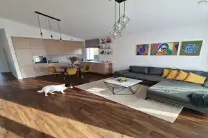 Entire House for a company of Friends, Kaunas
