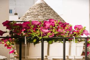 Il Trullo Moore Guest house, Alberobello