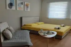 Apartman Andjela, Pluzine