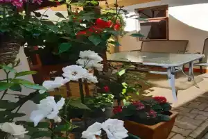 U paní malířky Apartments, Valtice