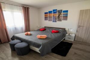 Apartman Laura, Solin
