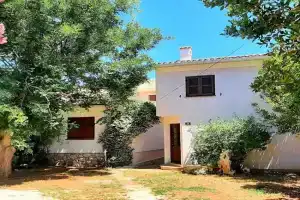 House SUZI, Novaglia