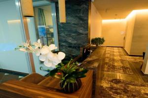 Hotel Zeneli, Vlore