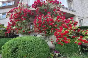 Ersita Guest house, Palanga
