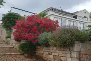 Seaview Apartments, Vrboska