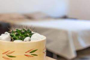 Nopal casa vacanze, San Vito dei Normanni