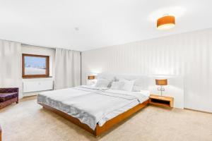 Spacious apartment in perfect location 52m2, Plzen