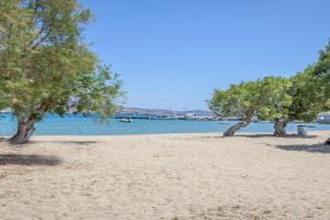 Armenakishouses, Apollonia