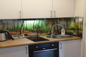 Apartament przy Starym Mieście, Elblag