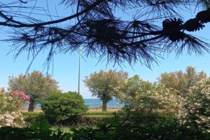 RosMarino_Appartamento Fronte Mare Apartments, Roseto degli Abruzzi