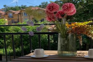 Apartman Park Promenada, Vrnyachka Banya