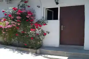 giomana Guest house, Borjomi