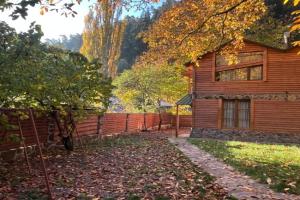 Villa Maxi Likani, Borjomi