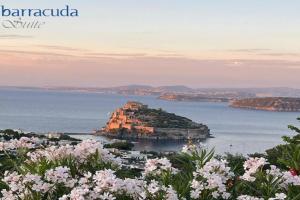 barracudasuite Mini-hotel, Ischia Town