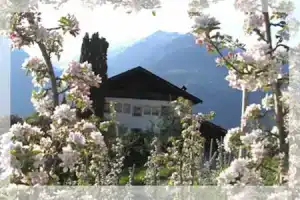 Lothof Apartments, Scena