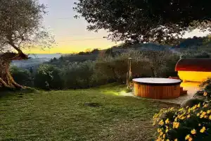 Montebello degli Olivi Farm, Chiusi