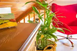 Annie's Place - a downtown, mezzanine apartment, Albany