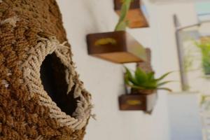 Maison de luxe Guest house, Francavilla Fontana