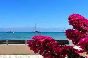 AMMOS Beach apartment, Sidari