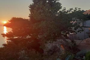 Apartments by the sea Podaca, Makarska - 19078, Gradac