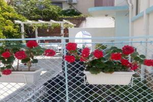 Romance Guest house, Pomorie