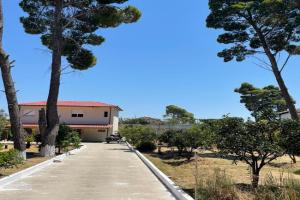 PINE HOUSE 2023, Vlore