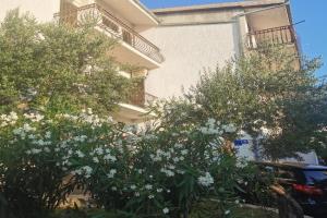 Branko Apartments, Baska Voda