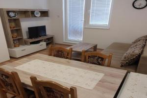 Apartment Vojinović, Banja Aleksinacka