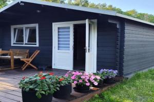 Poilsio namelis Palangoje - rami vieta prie jūros, terasa, nemokamas parkingas, pušynas, dviračių takas Guest house, Nida