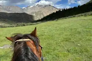 M-otel, Karakol