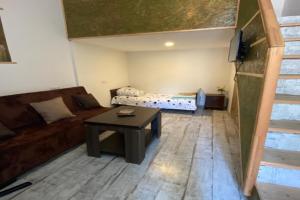 Eli’s home Apartments, Borjomi