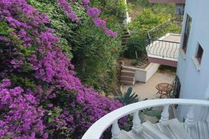 Villa on the Historic Castle Hill, Alanya
