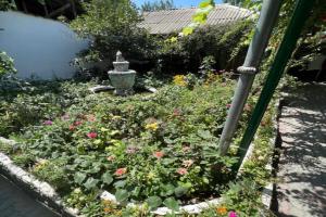 Lovely home for you Guest house, Osh