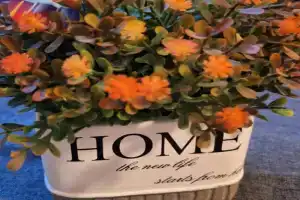 Haus Sissi Apartments, Daun