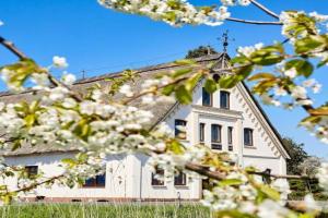 Cityappartement am Kirschberg Apartments, Weimar