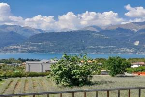 Ape Bianca - appartamento Oleandro Apartments, Colico