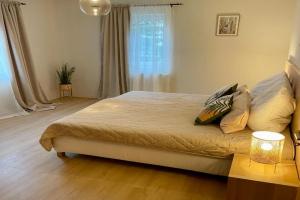 Visit 3 Apartments, Oberhof
