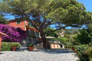 Le Magnolie Mini-hotel, Rapallo