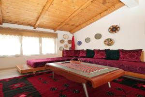 The house of dreams, Shkoder
