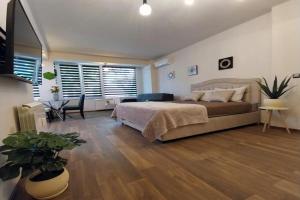 Ika studio, Bourgas