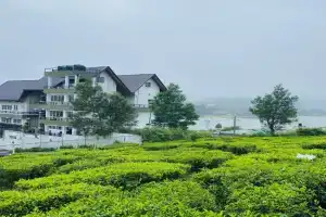 Queens Lake Cabin Hotel, Nuwara Eliya