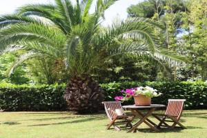Apartment With a Garden, Bagnole